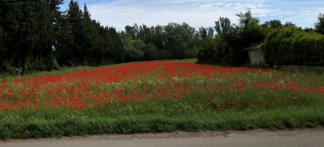 Le Mas Des Flaneraies Althen-des-Paluds Экстерьер фото
